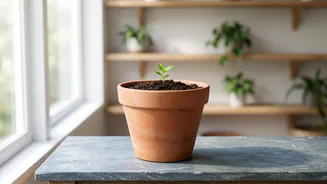 A Fresh Potting Guide Challenging Gravel Layers Adds Fresh Context To Container Gardening And Soil Structure