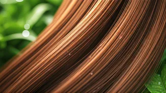 Related Stories banner