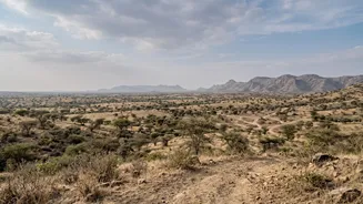 Barda Sanctuary Asiatic Lions: The Sanctuary Could Support a Long-Term Lion Population