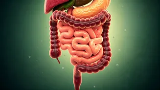 Healthy Gut, Healthier Life Starts Here