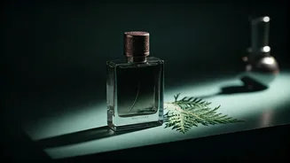 Unlock All-Day Freshness: Essential Men's Fragrances That Endure