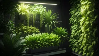AI Revolutionizes Indoor Gardening: Effortless Plant Care for Everyone