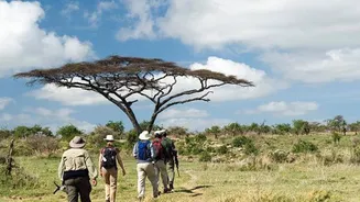 Wildlife lovers, experience this unique walking safari