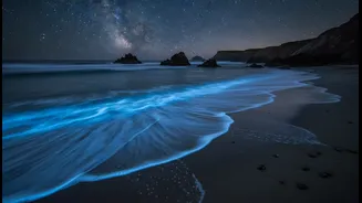How marine science explains glowing blue shores along Mumbai historic coastline