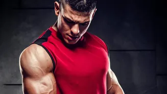 Research Reveals Total Daily Protein Matters More For Muscle Repair Than Rapid Post Workout Timing