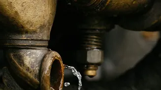 Rainy Season House Prep: Simple Fixes For Leaks And Dampness