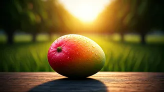 Lucknow's Bid For Mango Capital Status Is Working Wonders