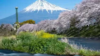 Avoid Peak Crowds With These Alternatives to Japan's Biggest Sights