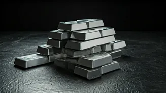 Silver's Tumultuous Ride: ETFs, Rates, and Future Outlook