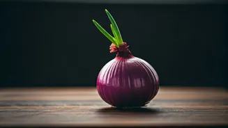 Sprouted Onion Savvy: When to Eat Them and How to Keep Them Fresh Longer