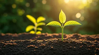 Plant Now, Thrive Later: Embrace the Power of Starting Today