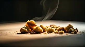 Crumbs: A Gastronomic Guide to Enjoyment