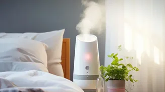 Rainy-Season Rest: How Humidity Can Affect Sleep Comfort