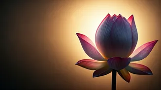 Ram Navami 2026: Heartfelt Wishes, Messages & Quotes to Share Joy & Blessings