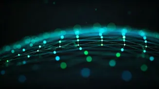 Madhabi Puri & The Focus on Mule Accounts