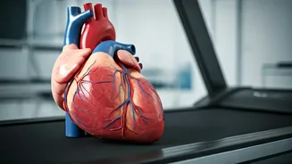 Beat Blood Pressure: Cardio Exercises for Natural Reduction