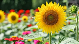Cancer Zodiac: Find Happiness Today