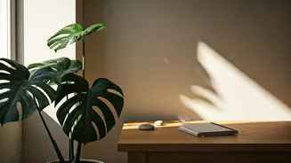 Biophilic Design Is No Longer Luxury-Only