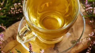 Caffeine-Free Sips: How Simple Herbal Infusions Keep Your Body Hydrated Long