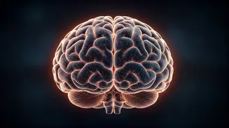 Unveiling Brain Fog: Samantha's Guide to Clarity