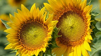 Love & Laughter: Zodiac Signs on November 4, 2025