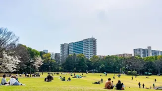 How City Dwellers Master Free Leisure Activities During No-Spend Weekend Outings