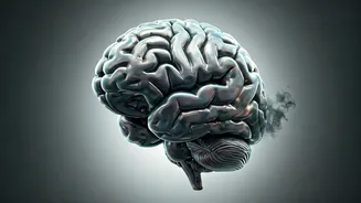 Delhi's Toxic Air: Impacts on Your Brain and Mood
