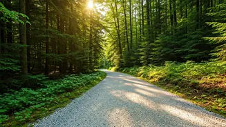 Walk Daily for a Healthier You