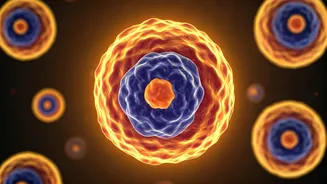 Ayurveda's Secrets: Naturally Fortify Your Immunity with Simple Daily Habits