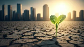 Why Urban Plant-Based Diets Result In Unprecedented B12 Scarcity