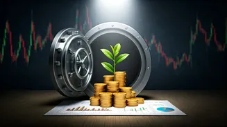 Protect Volatile Assets Portfolio Using Dedicated Six Month Emergency Buffers