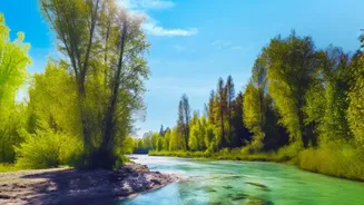 The Facts Behind Purpose-Free Travel