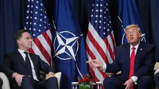 'We were disappointed': Trump says Nato allies 'let US down' during Iran war in meeting with Rutte