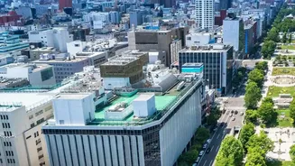 Why Healthy City Living Is Becoming A Research Focus