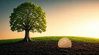 Why Patient Investors Are Winning Big