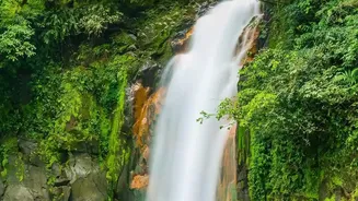 Slow Holidays Begin With A Rainforest Stay