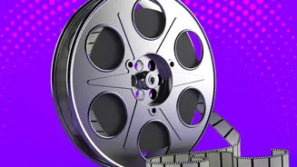How Reels And OTT Platforms Now Fit Into The Same Entertainment Routine