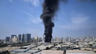 Dubai Wasn't in the War — Then Why Did Iran Attack Gulf's Glittering City?