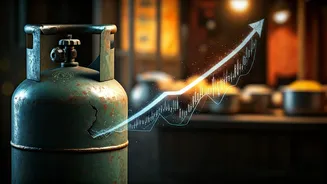 LPG Crisis Sparks Steep Price Hikes in India's Beloved Street Food Scene