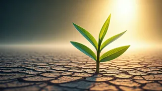 Related Stories banner