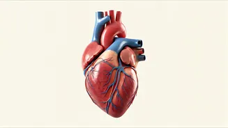 Unveiling Heart Health: Signs, Prevention, and Natural Aids