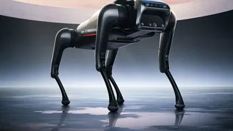 The AI Projects That Can Add Weight To Applications