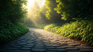 Gentle Walking Meets Mindful Breathing In 2026