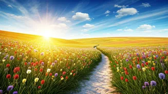 Navigating the Emotional Landscape: Simple Tips