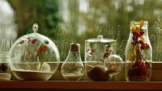 Enhance your house's aesthetics using these glass pieces