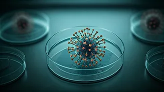 Cicada Covid Variant: Decoding 7 Critical Symptoms and Assessing the True Risk