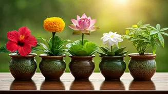 5 Lucky Vastu Flowers to Cultivate for Wealth and Prosperity