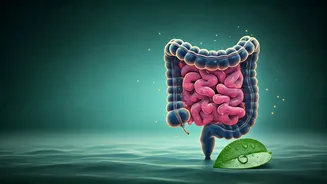 Unlock Peak Gut Health: 8 Daily Habits From A Harvard Doctor