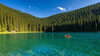 Unlock a Free Finnish Adventure: Your Dream Summer Escape Awaits!