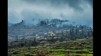 Heavy Rain Halts Char Dham Yatra and Disrupts Life in Northern India